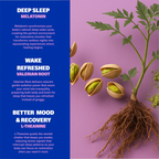 XUMAST™ SLEEP IN A STRIP